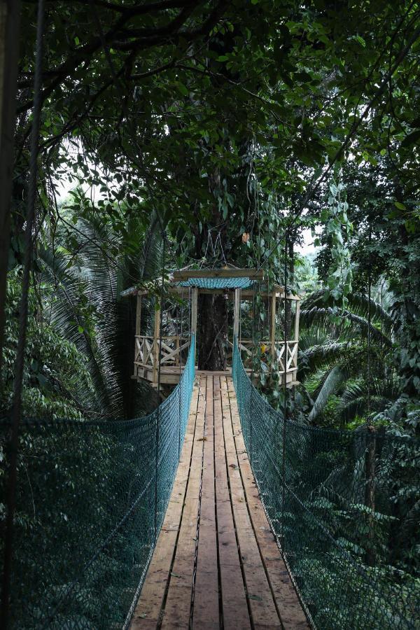 Jade Jungle Resort Teakettle Village Kültér fotó
